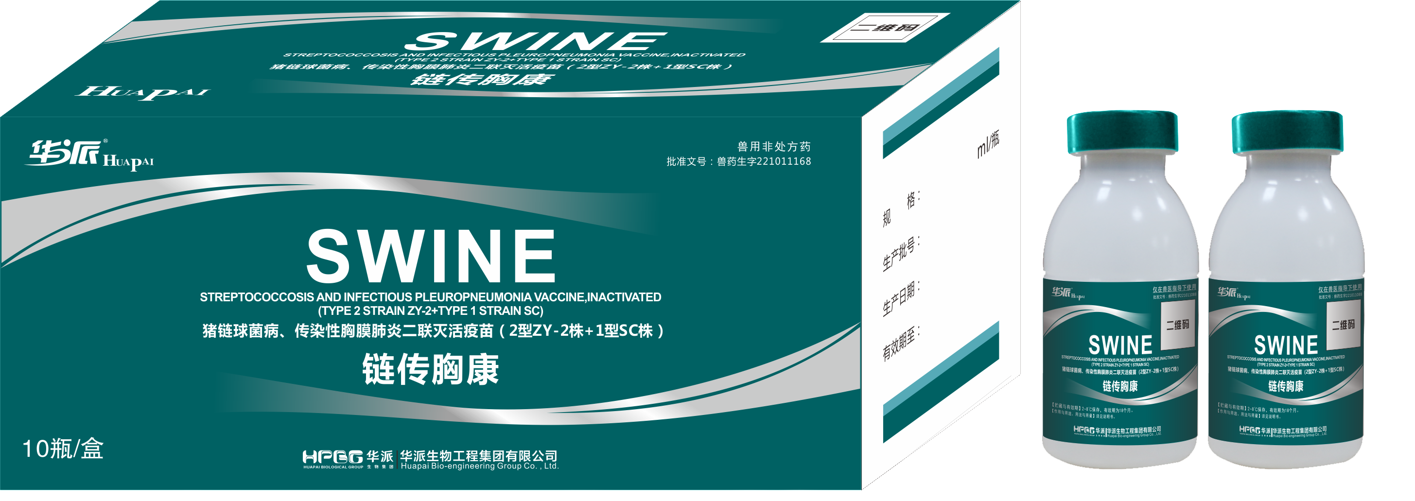 链传胸康png）  拷贝.png