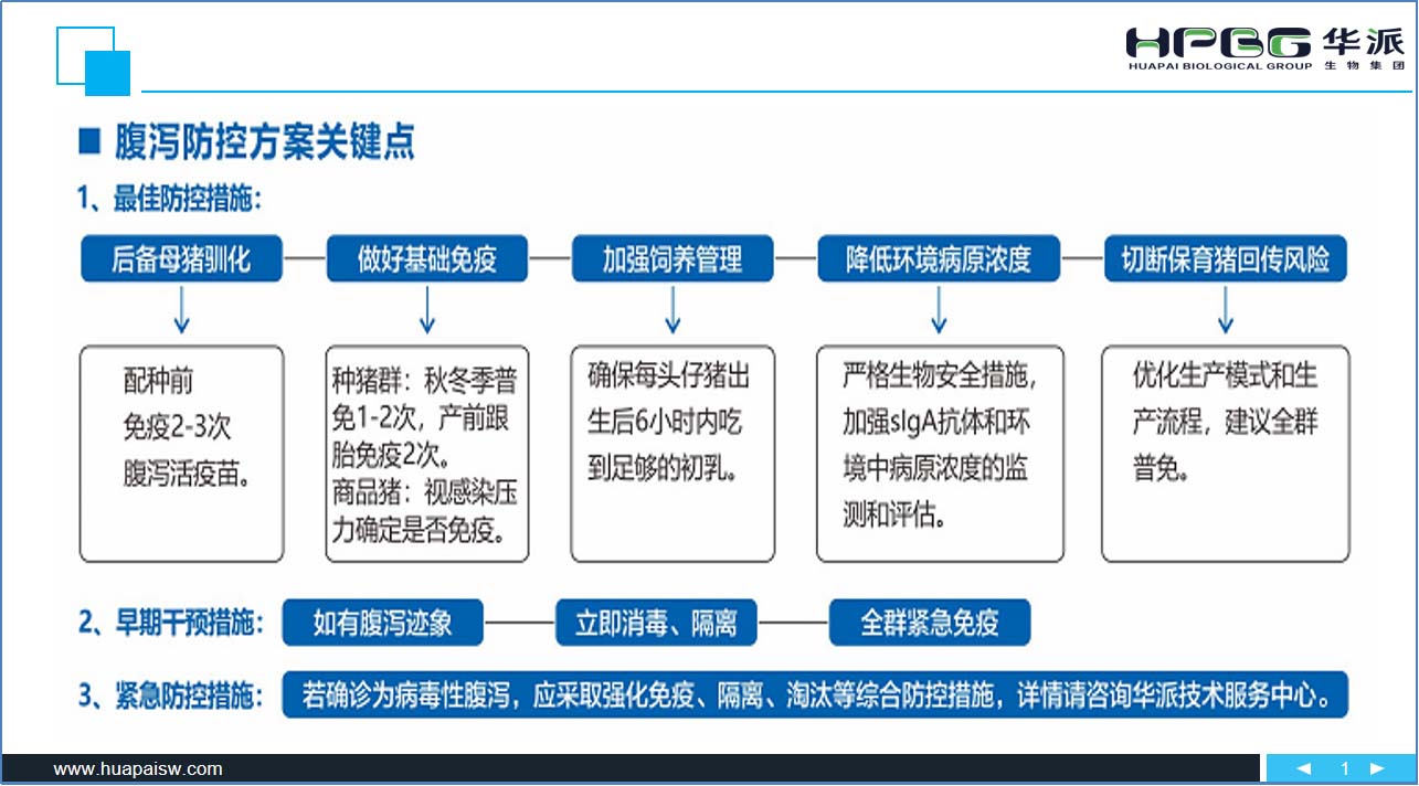 图片12 拷贝.jpg