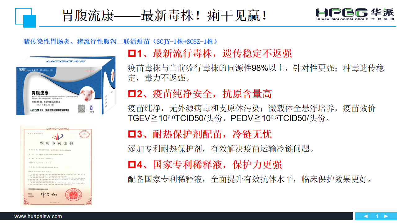 图片13.png