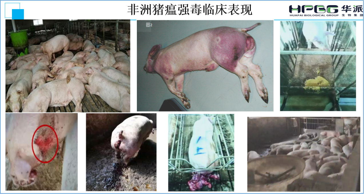 图片3 拷贝.jpg