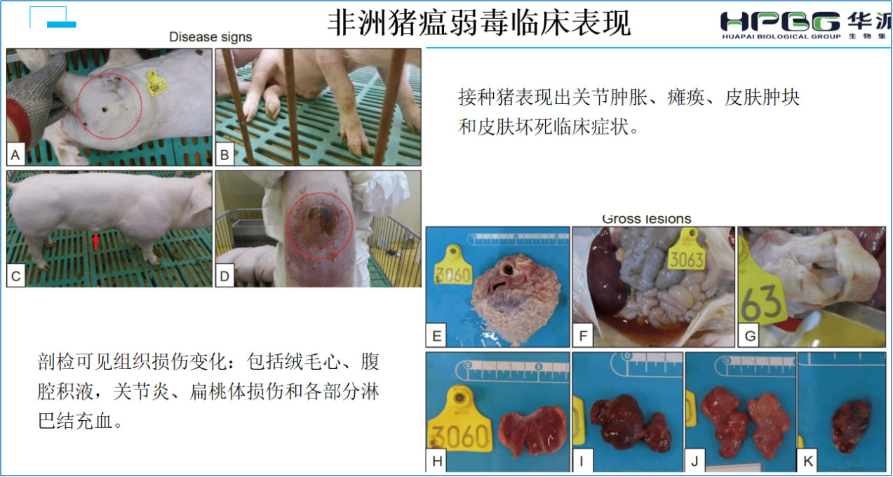 图片4 拷贝.jpg