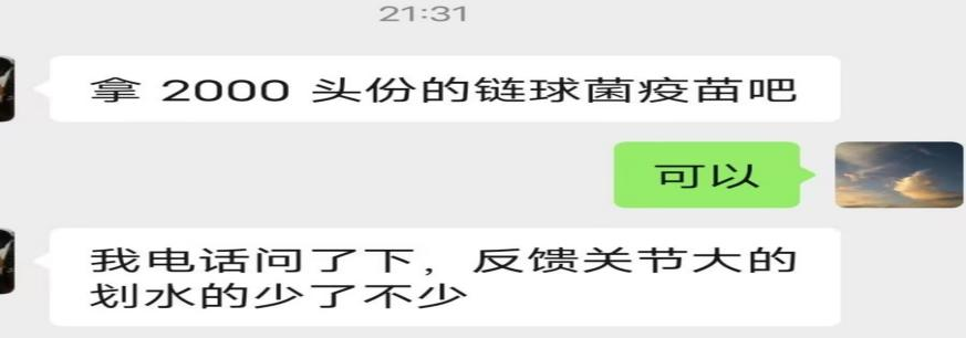 图片11.png